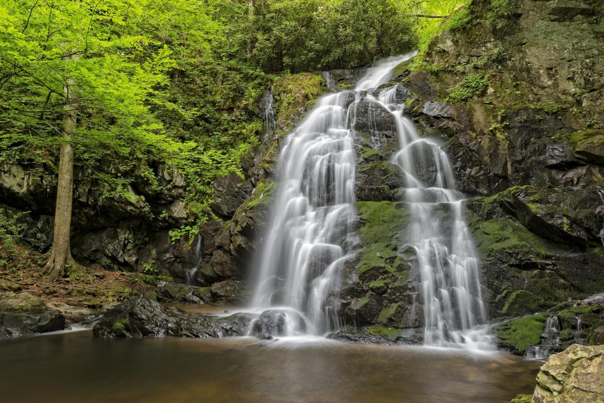 Hemlock Hollow, Pool Access, 1089 Free Tickets Each Paid Day, Dollywood And More Sevierville Bagian luar foto